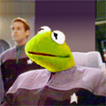 kermitsisko5.jpg